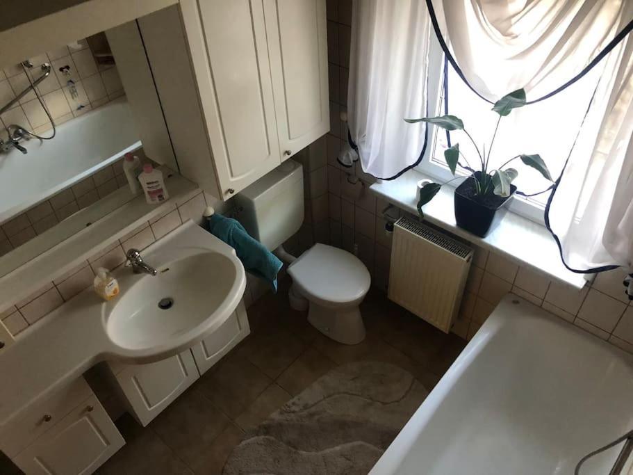 Ferienwohnung In Golssen/Spreewald, Tropical Island Eksteriør bilde